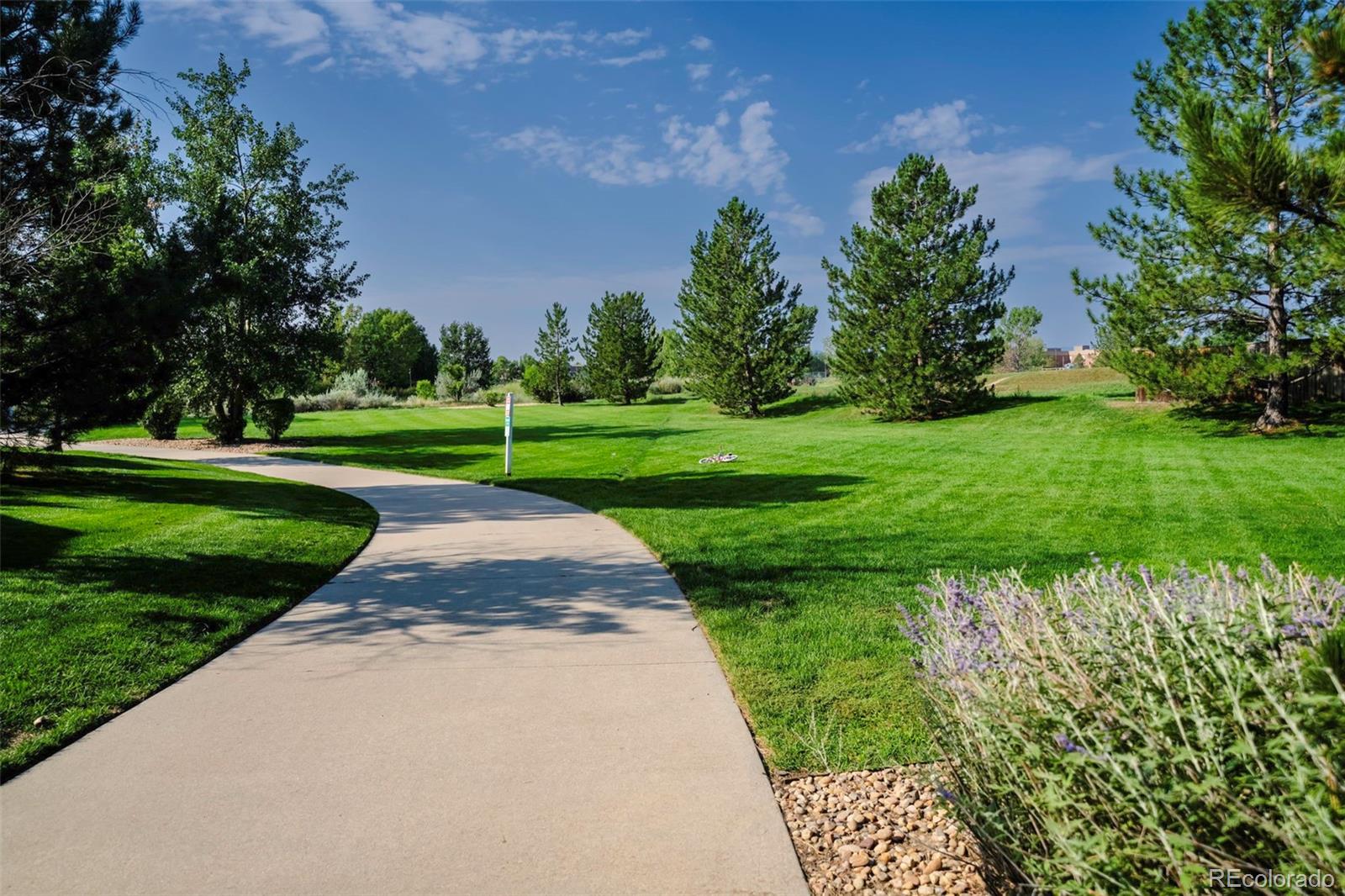 MLS Image #42 for 811  snowberry street,longmont, Colorado