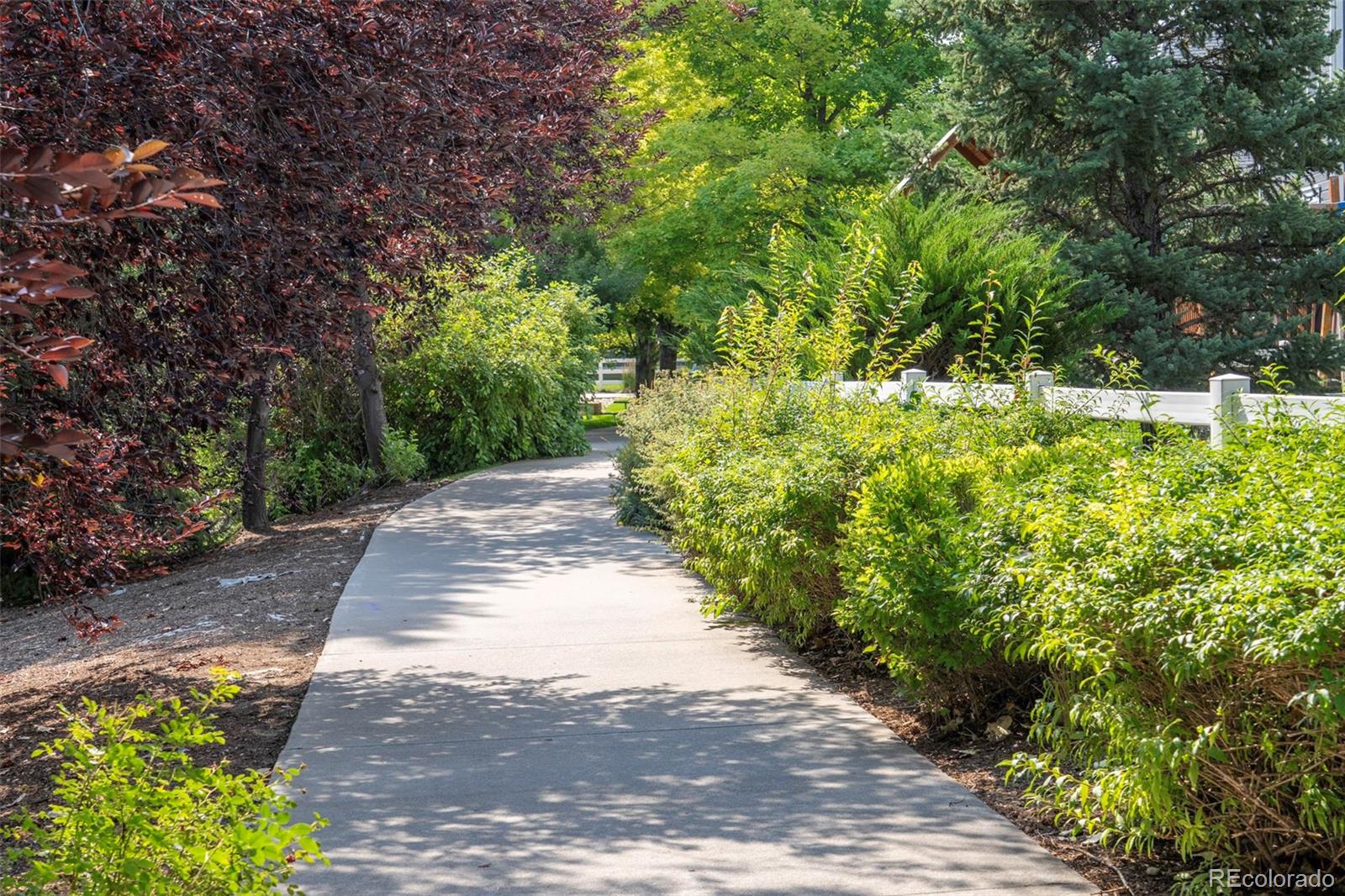 MLS Image #44 for 811  snowberry street,longmont, Colorado