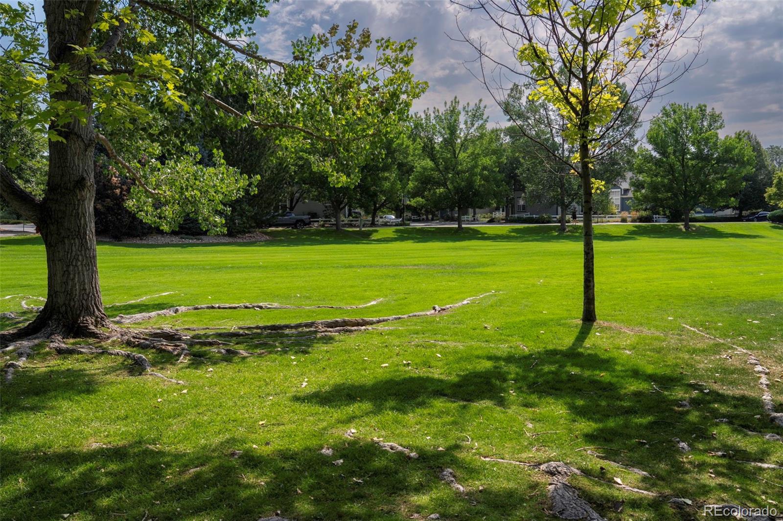 MLS Image #45 for 811  snowberry street,longmont, Colorado