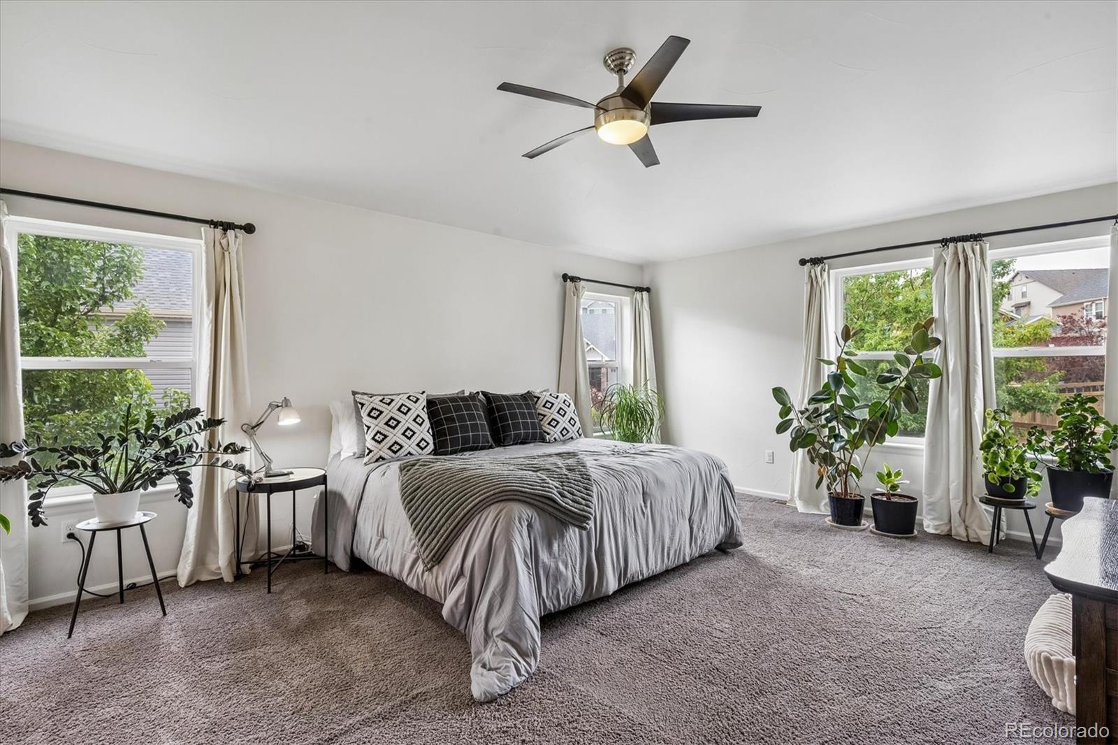 MLS Image #21 for 3418  starry night loop,castle rock, Colorado
