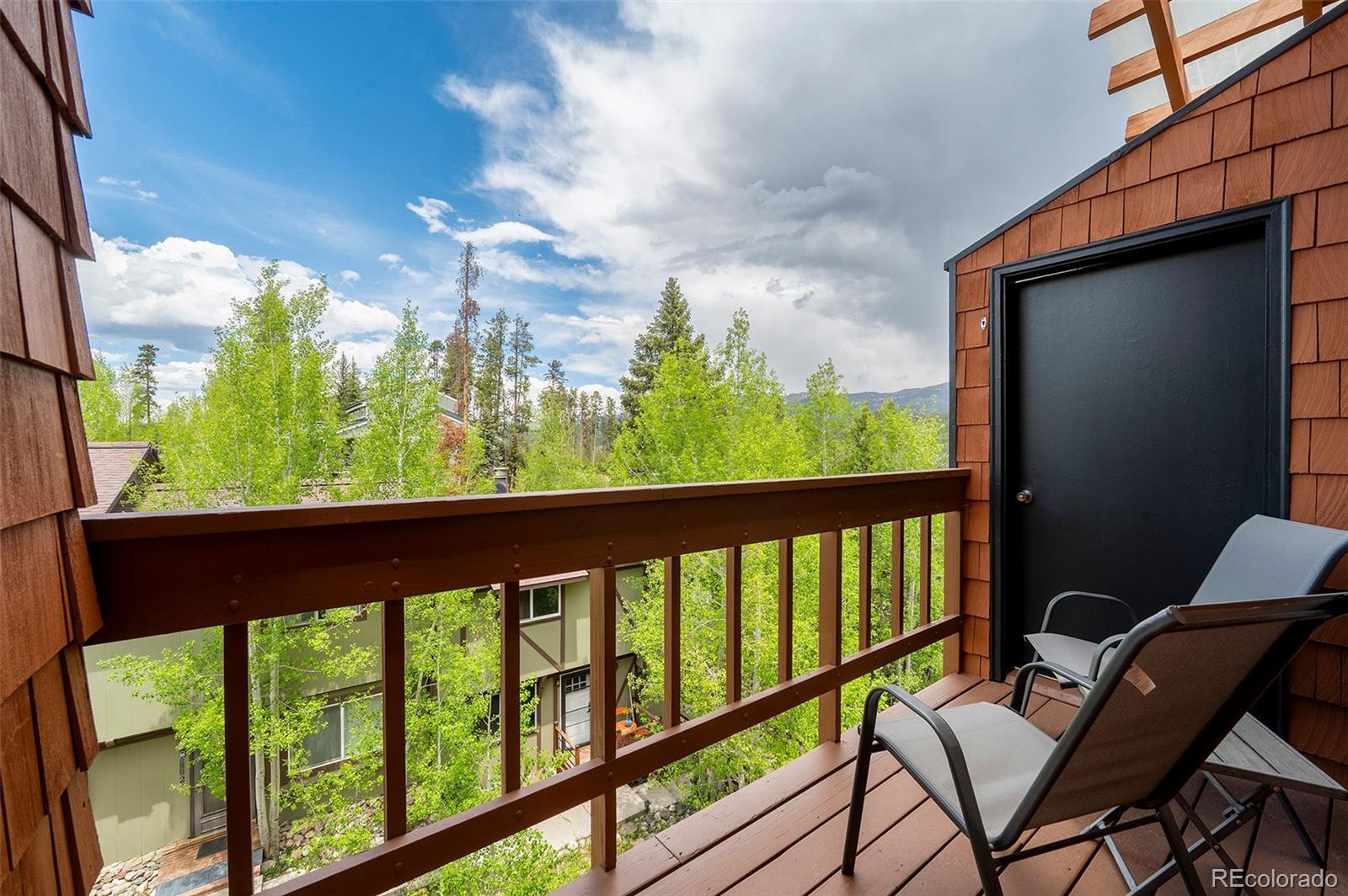 MLS Image #6 for 370  forest trail,winter park, Colorado