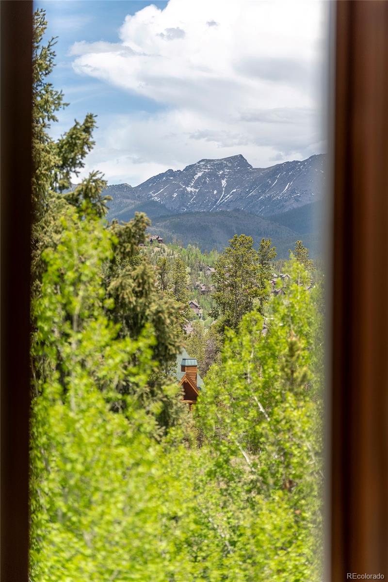 MLS Image #8 for 370  forest trail,winter park, Colorado