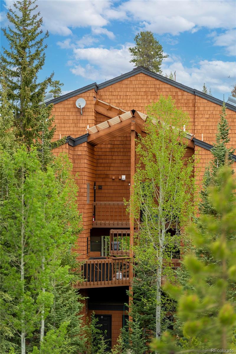 MLS Image #9 for 370  forest trail,winter park, Colorado