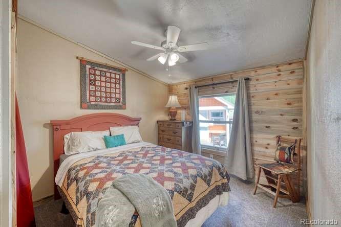 MLS Image #23 for 115  arapahoe road,south fork, Colorado