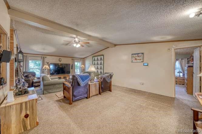 MLS Image #5 for 115  arapahoe road,south fork, Colorado