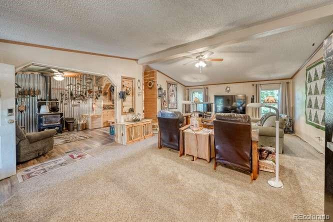 MLS Image #7 for 115  arapahoe road,south fork, Colorado