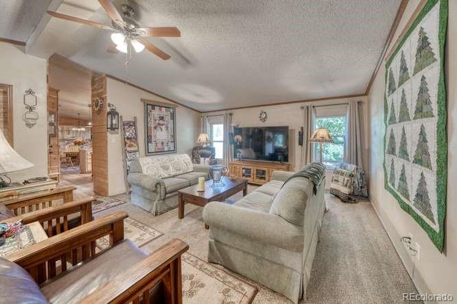 MLS Image #8 for 115  arapahoe road,south fork, Colorado