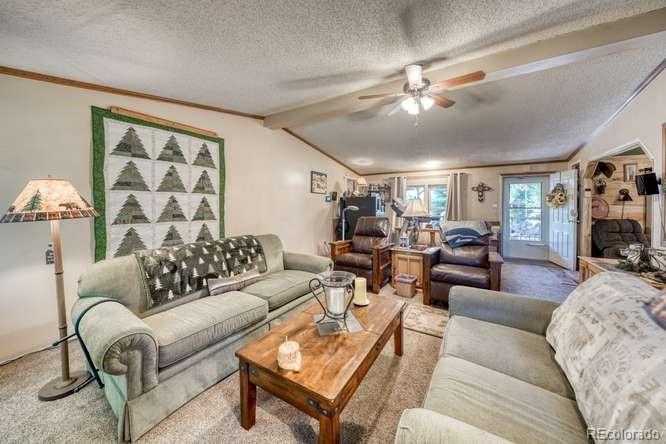 MLS Image #9 for 115  arapahoe road,south fork, Colorado