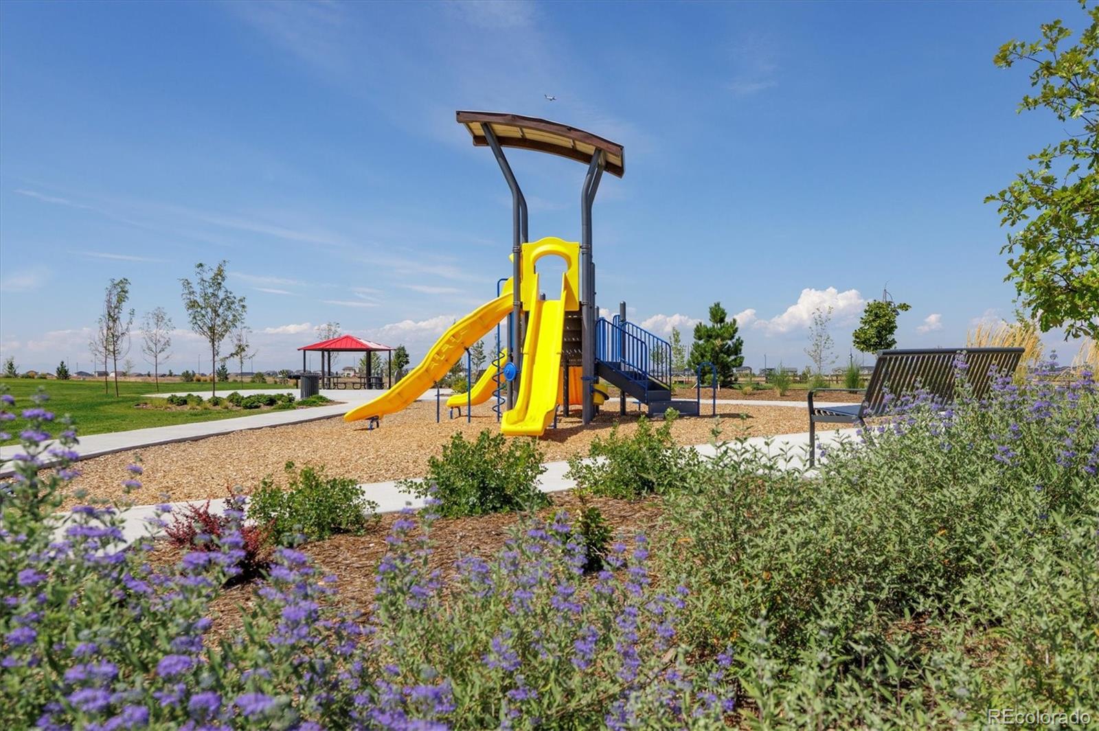 MLS Image #26 for 9918  danube court,commerce city, Colorado