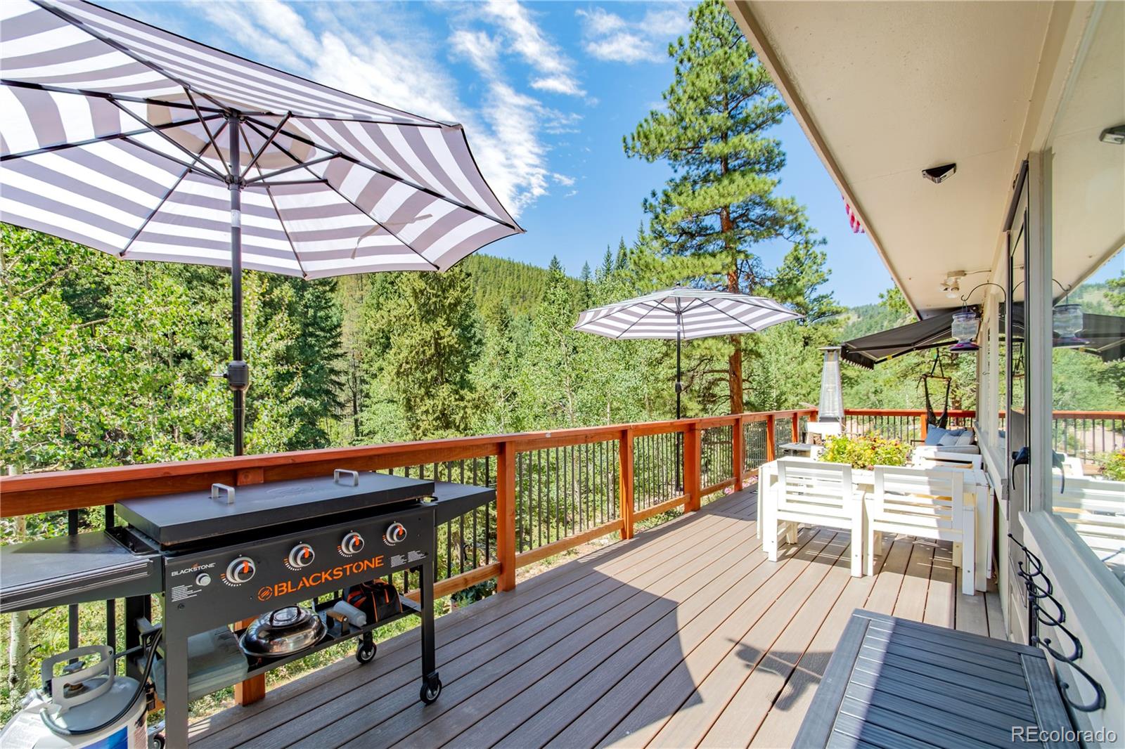 MLS Image #1 for 7992  county road 43 ,bailey, Colorado