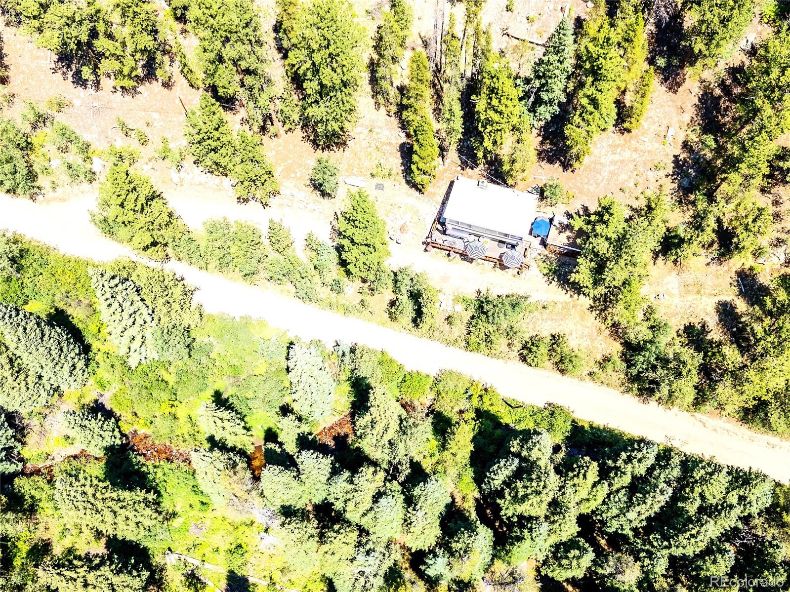 MLS Image #10 for 7992  county road 43 ,bailey, Colorado