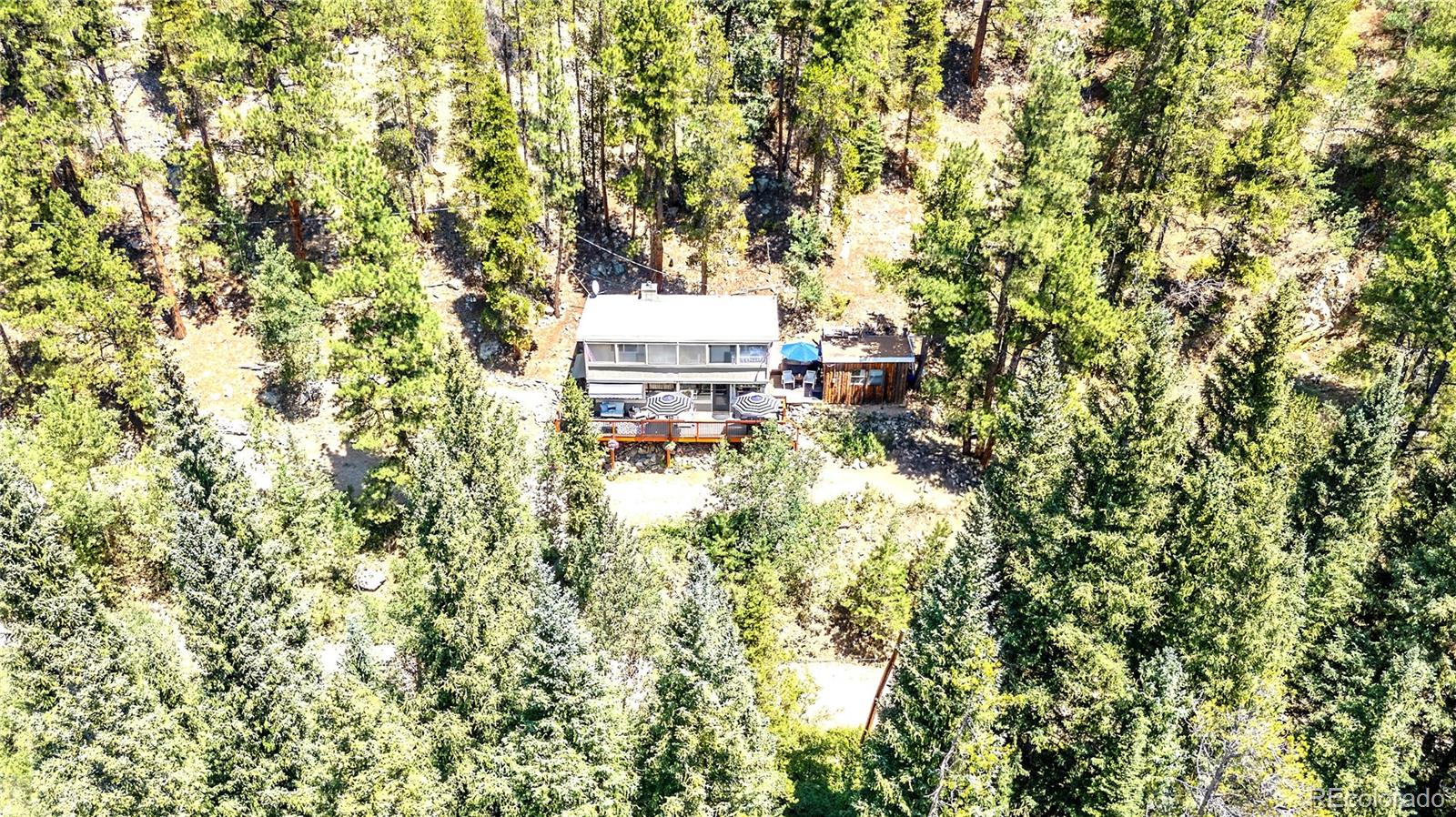 MLS Image #2 for 7992  county road 43 ,bailey, Colorado