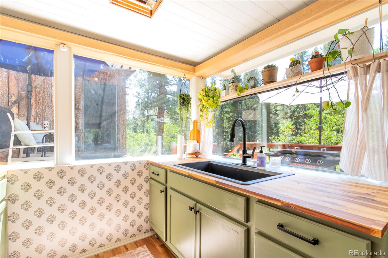 MLS Image #30 for 7992  county road 43 ,bailey, Colorado