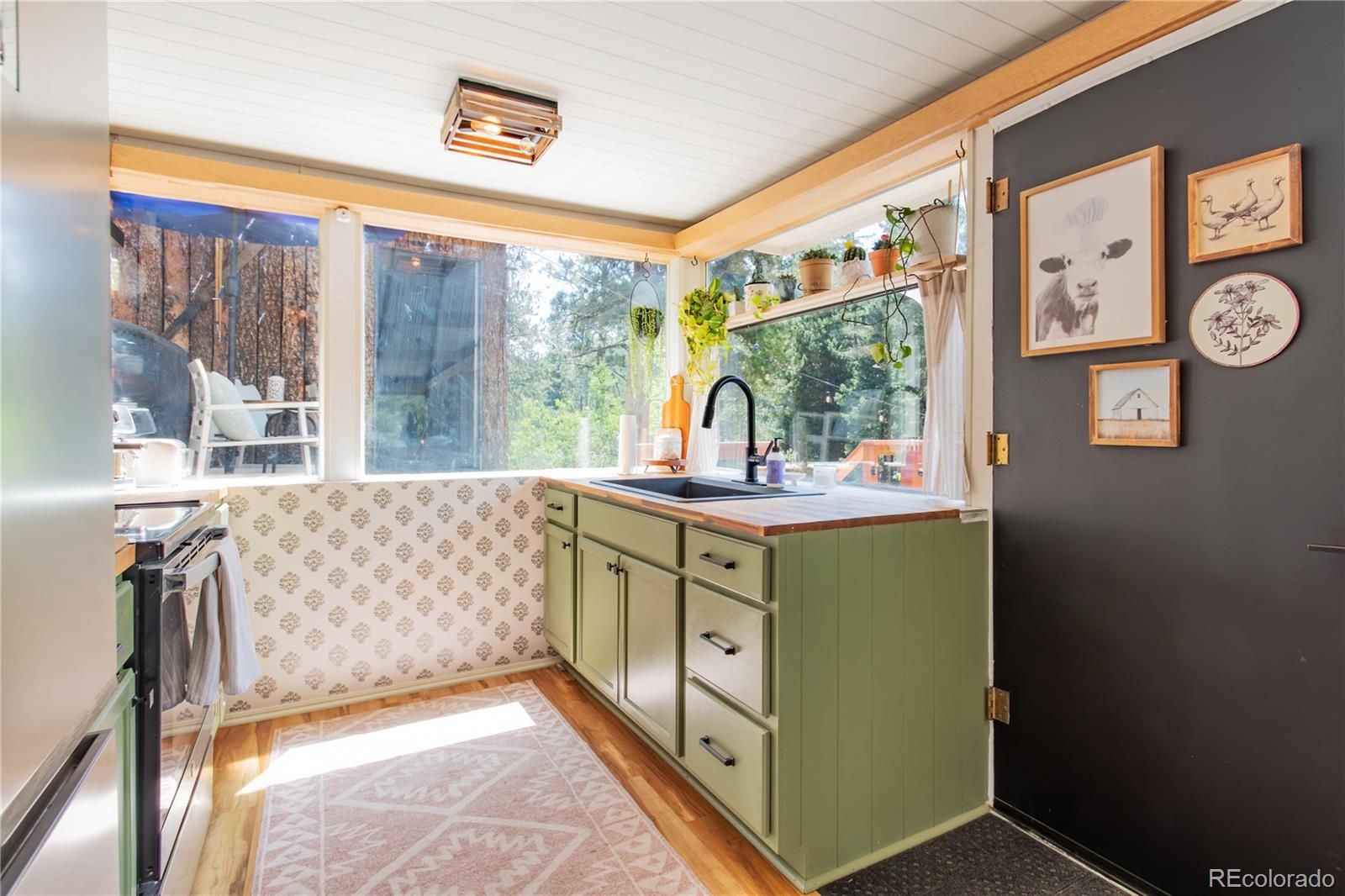 MLS Image #31 for 7992  county road 43 ,bailey, Colorado