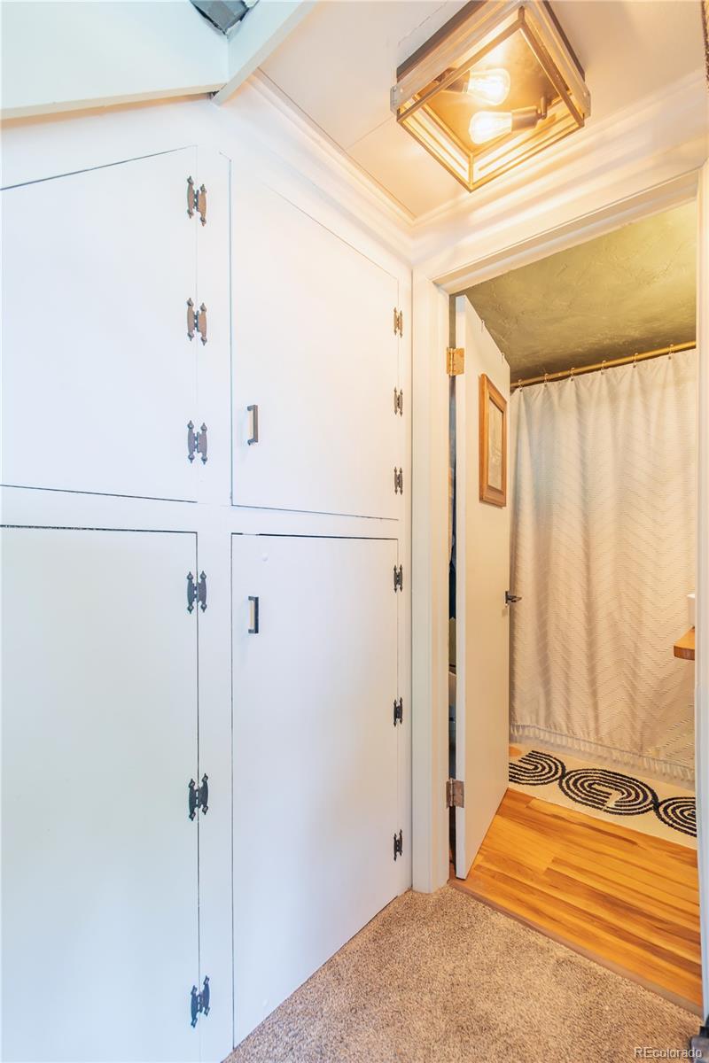 MLS Image #32 for 7992  county road 43 ,bailey, Colorado