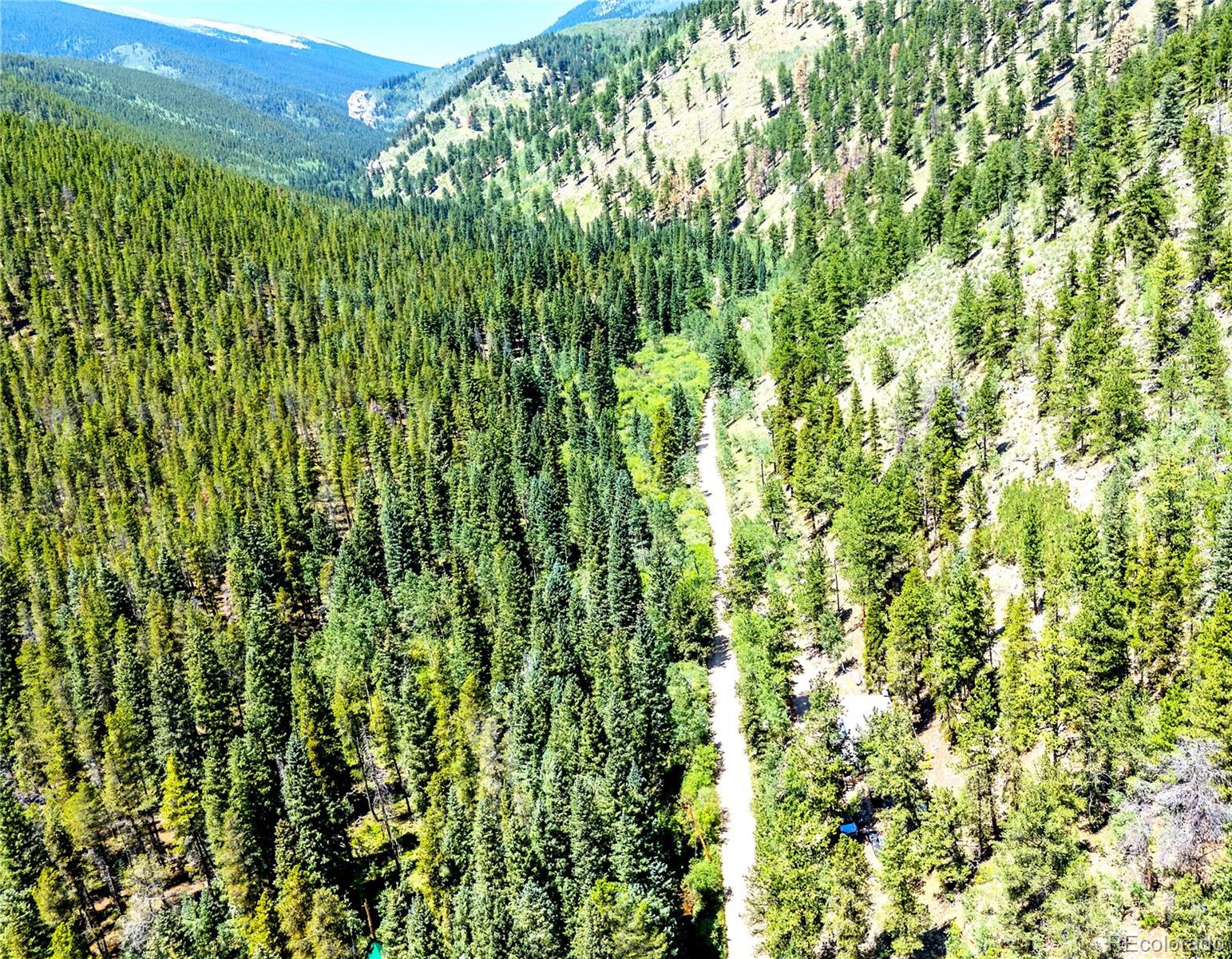 MLS Image #48 for 7992  county road 43 ,bailey, Colorado