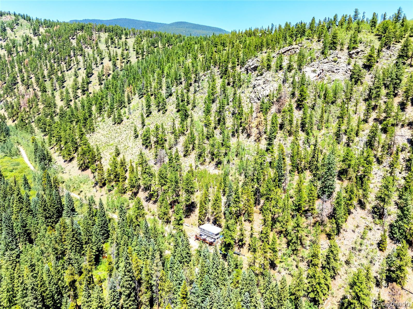 MLS Image #8 for 7992  county road 43 ,bailey, Colorado