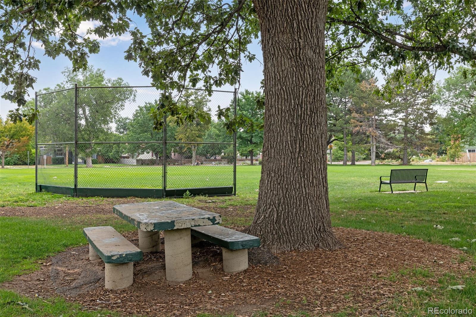 MLS Image #34 for 1653  rosemary street,denver, Colorado