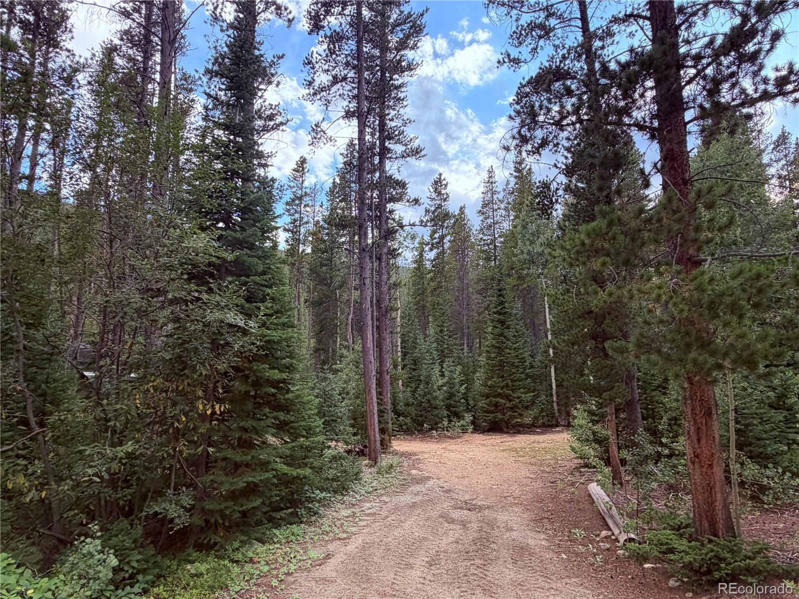MLS Image #33 for 733  rainbow road,idaho springs, Colorado