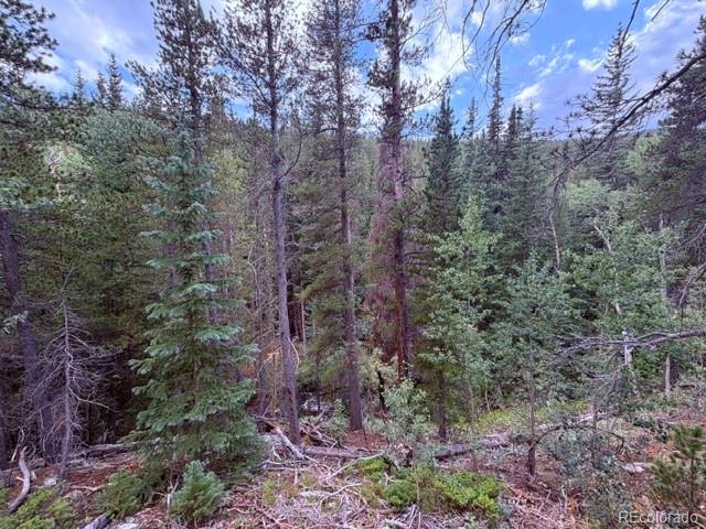 MLS Image #34 for 733  rainbow road,idaho springs, Colorado