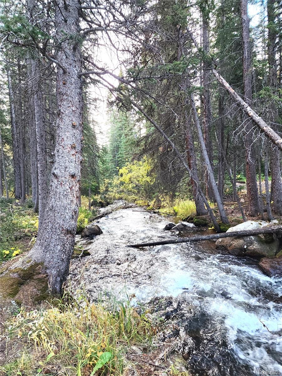 MLS Image #38 for 733  rainbow road,idaho springs, Colorado