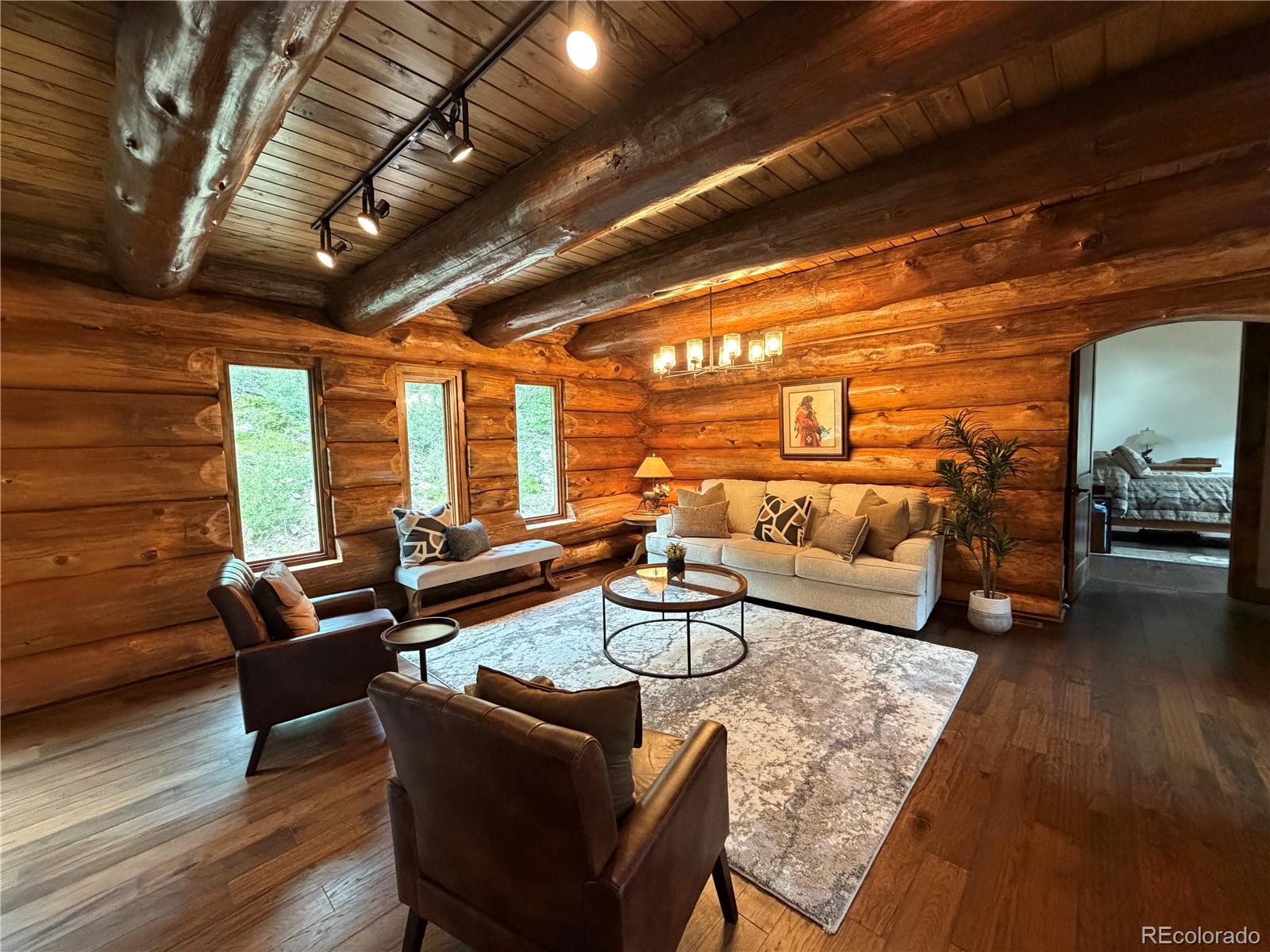 MLS Image #4 for 733  rainbow road,idaho springs, Colorado