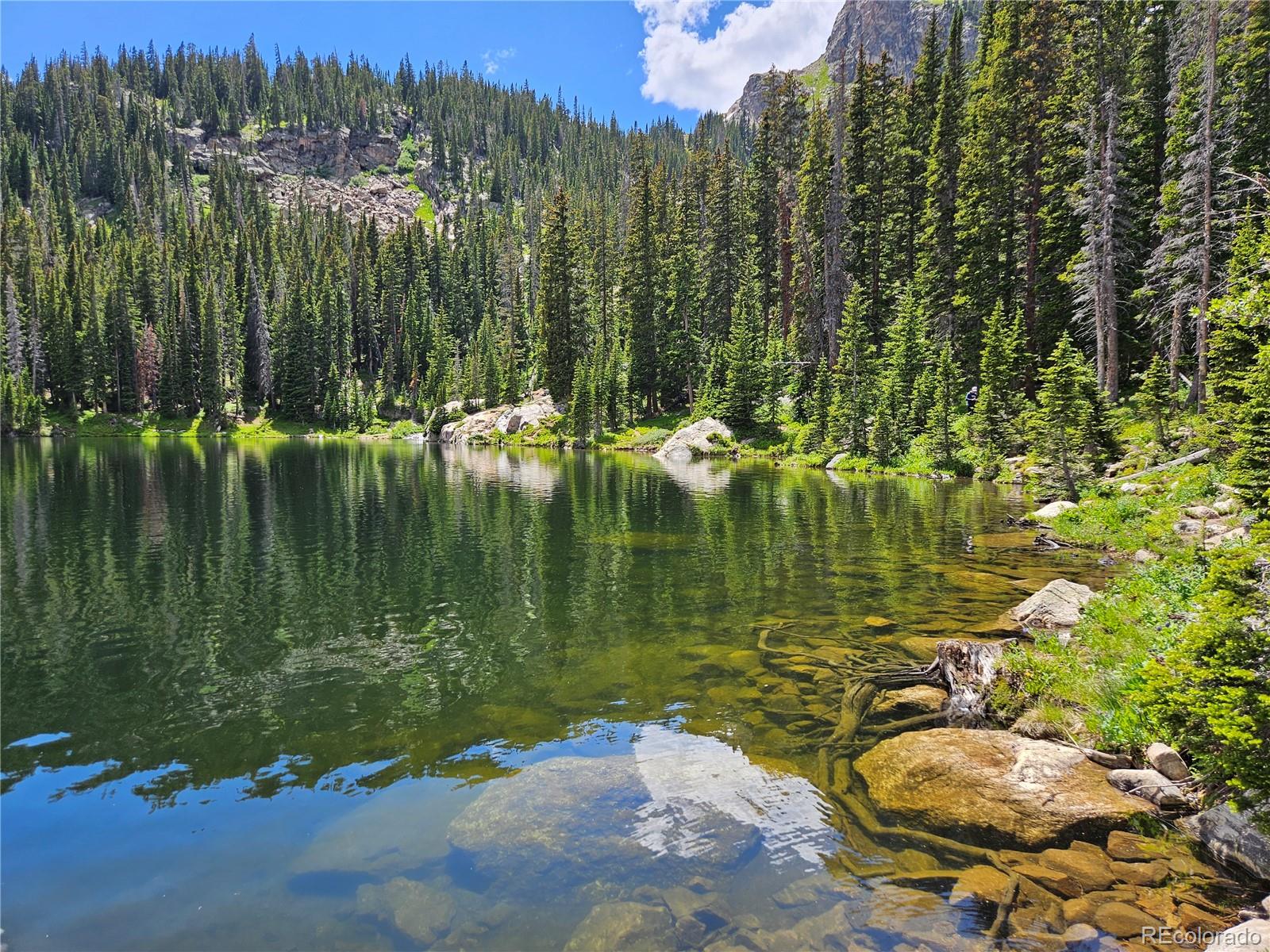 MLS Image #41 for 733  rainbow road,idaho springs, Colorado
