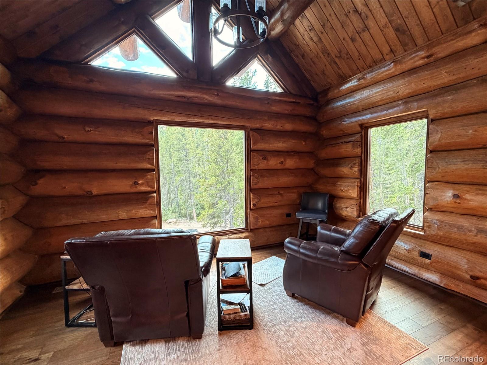 MLS Image #6 for 733  rainbow road,idaho springs, Colorado