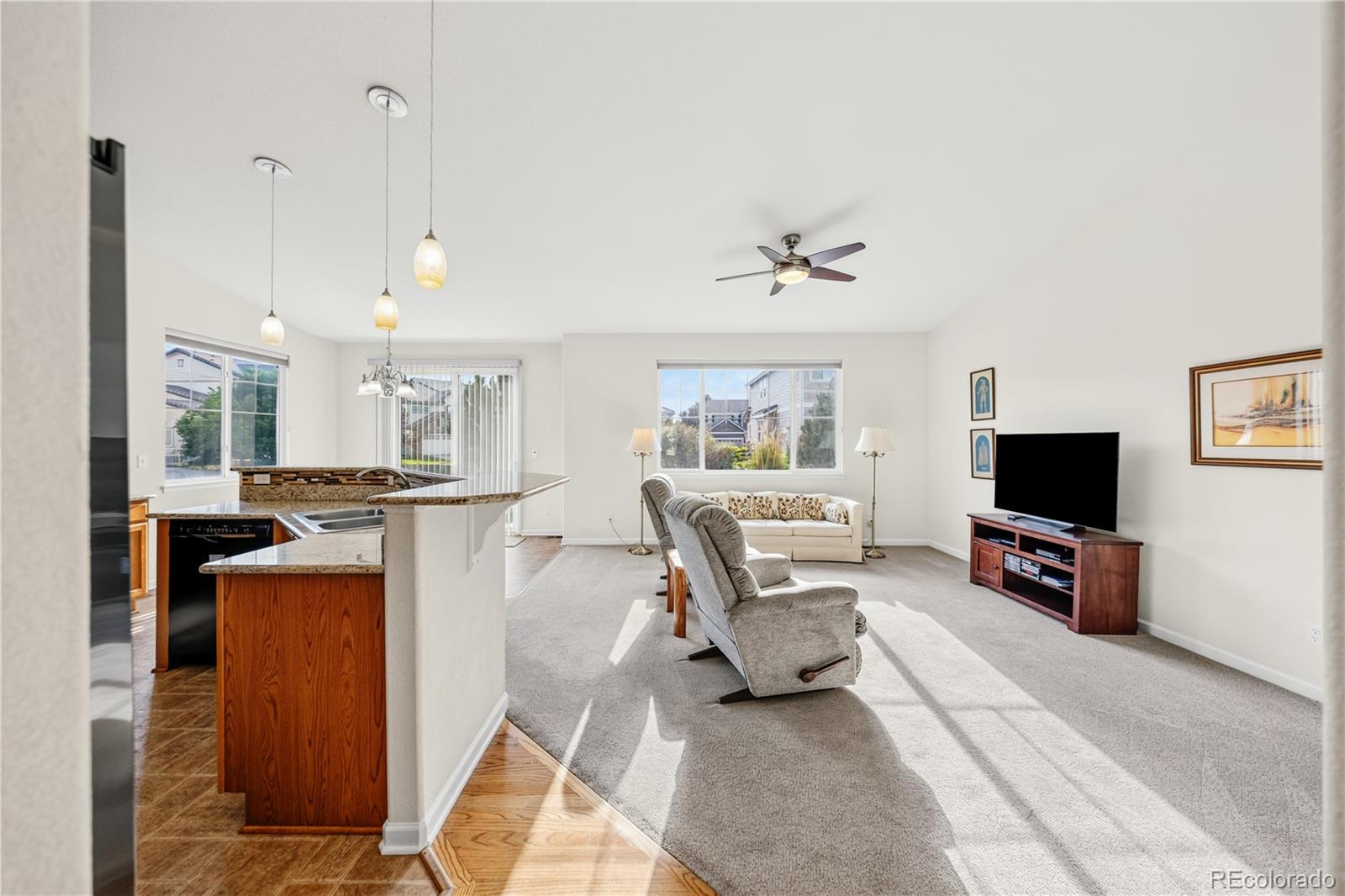 MLS Image #8 for 5085 s malta street,centennial, Colorado