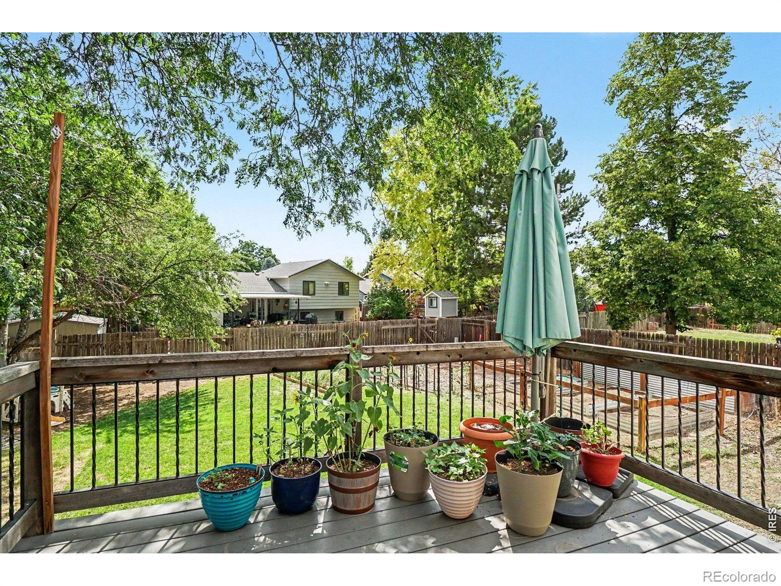 MLS Image #7 for 3919  logan drive,loveland, Colorado