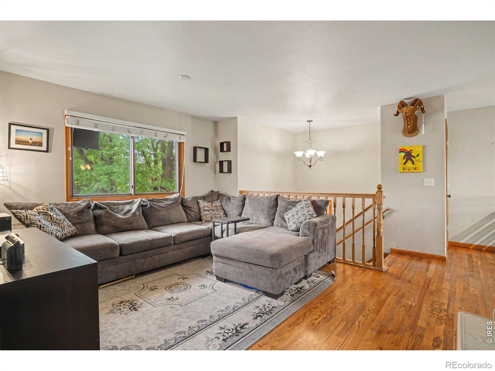 MLS Image #9 for 3919  logan drive,loveland, Colorado