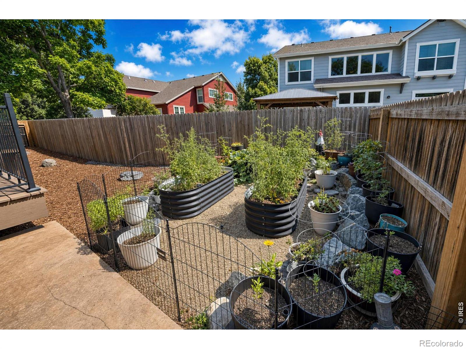 MLS Image #47 for 1527  prairie song place,longmont, Colorado