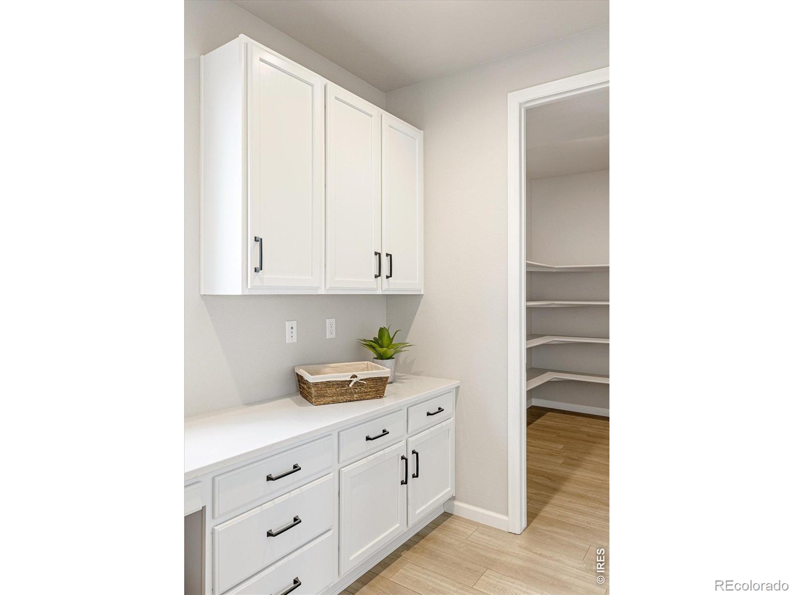 MLS Image #13 for 272  orion court,erie, Colorado