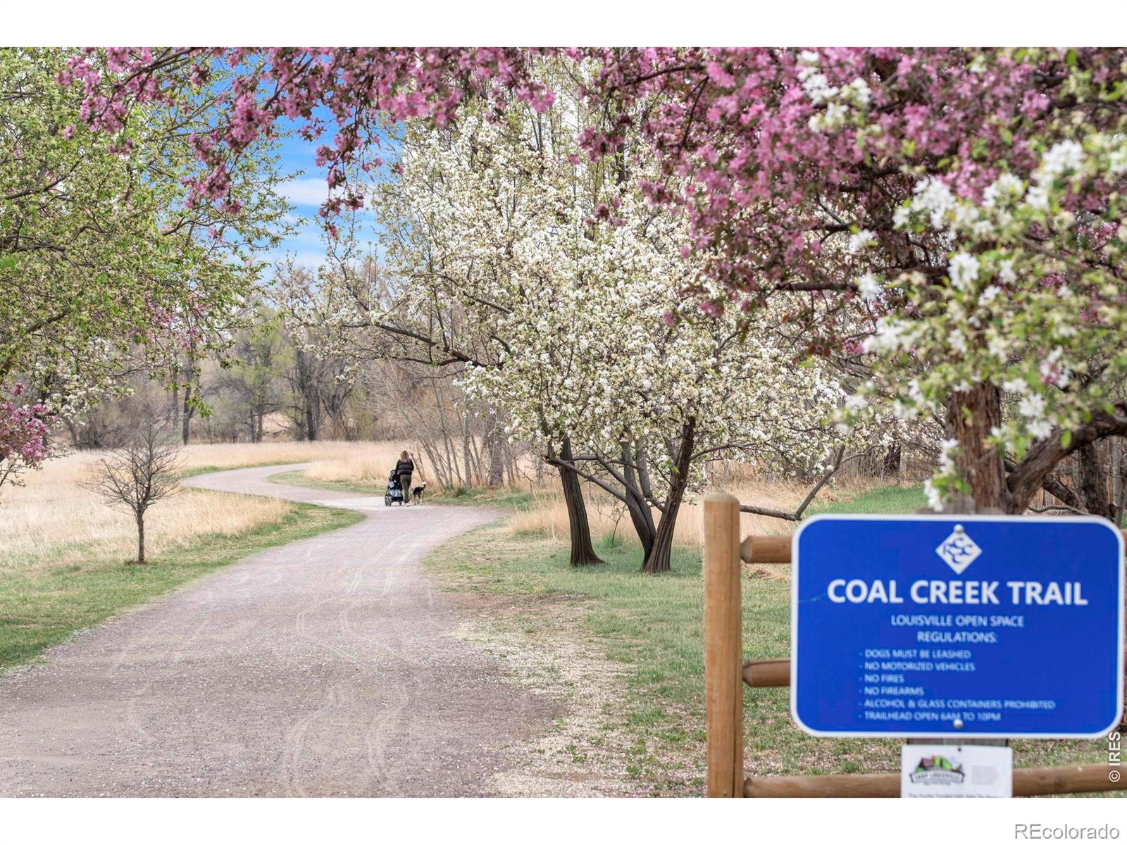 MLS Image #28 for 701  lois drive,louisville, Colorado
