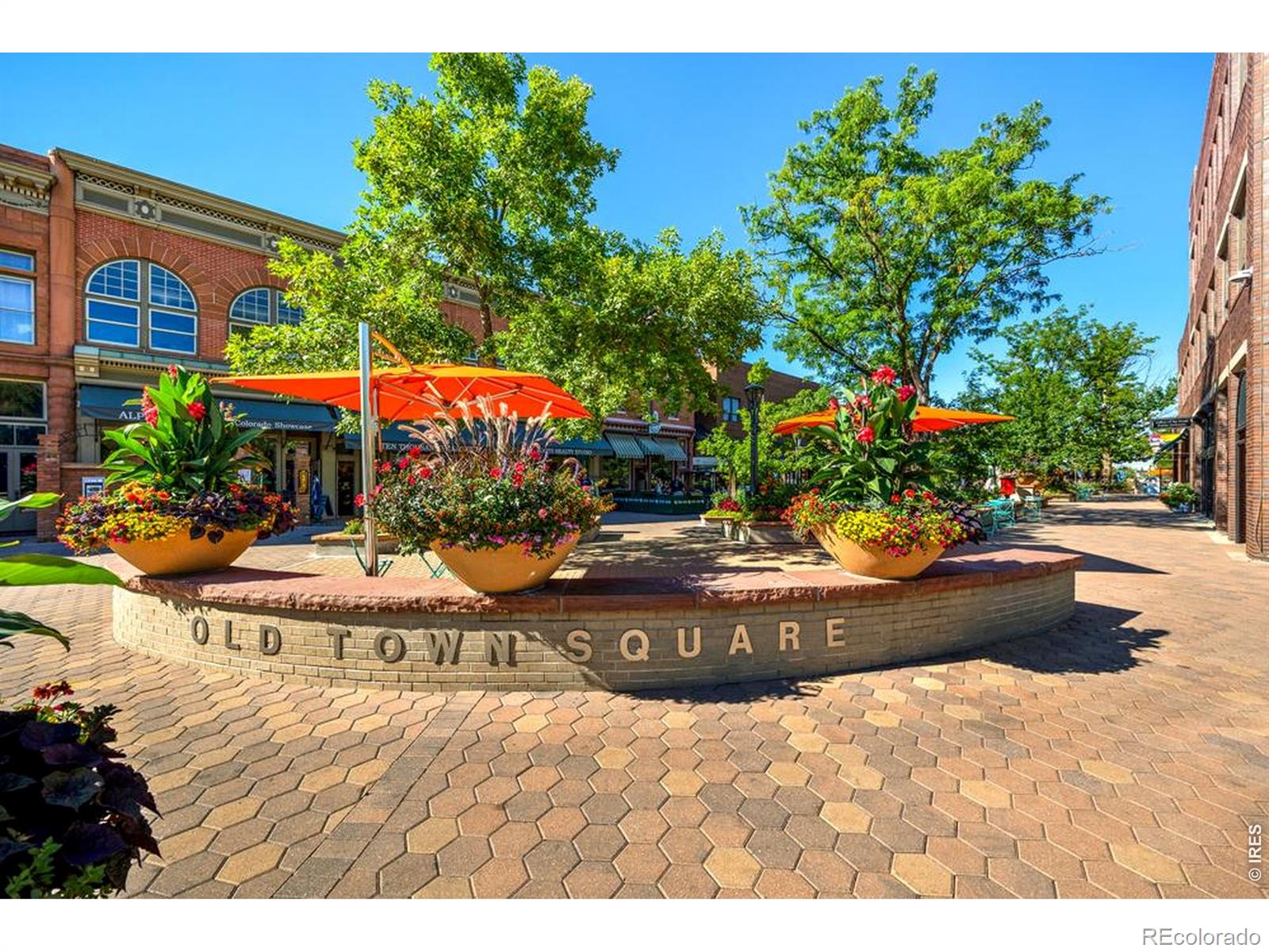 MLS Image #39 for 422  hillsboro court,fort collins, Colorado