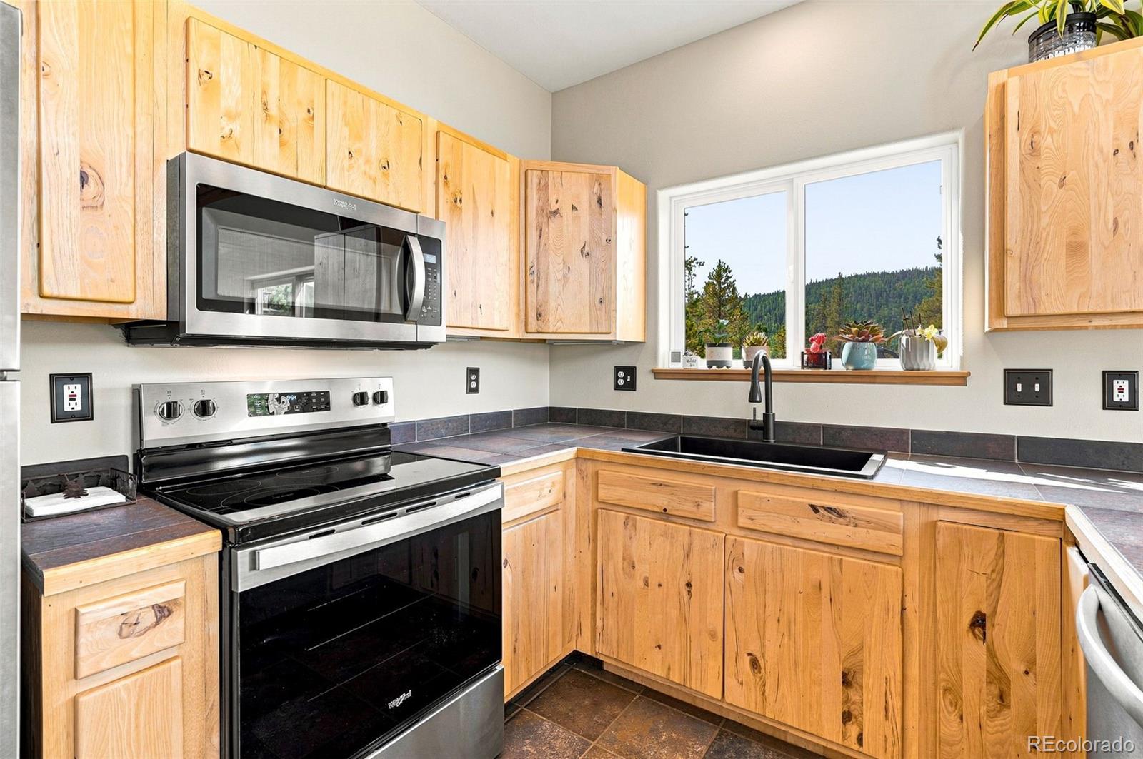 MLS Image #10 for 1301  upper moon gulch road,rollinsville, Colorado