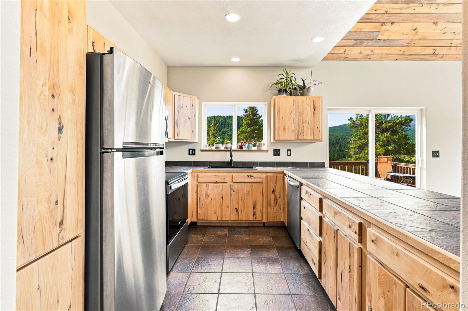 MLS Image #11 for 1301  upper moon gulch road,rollinsville, Colorado