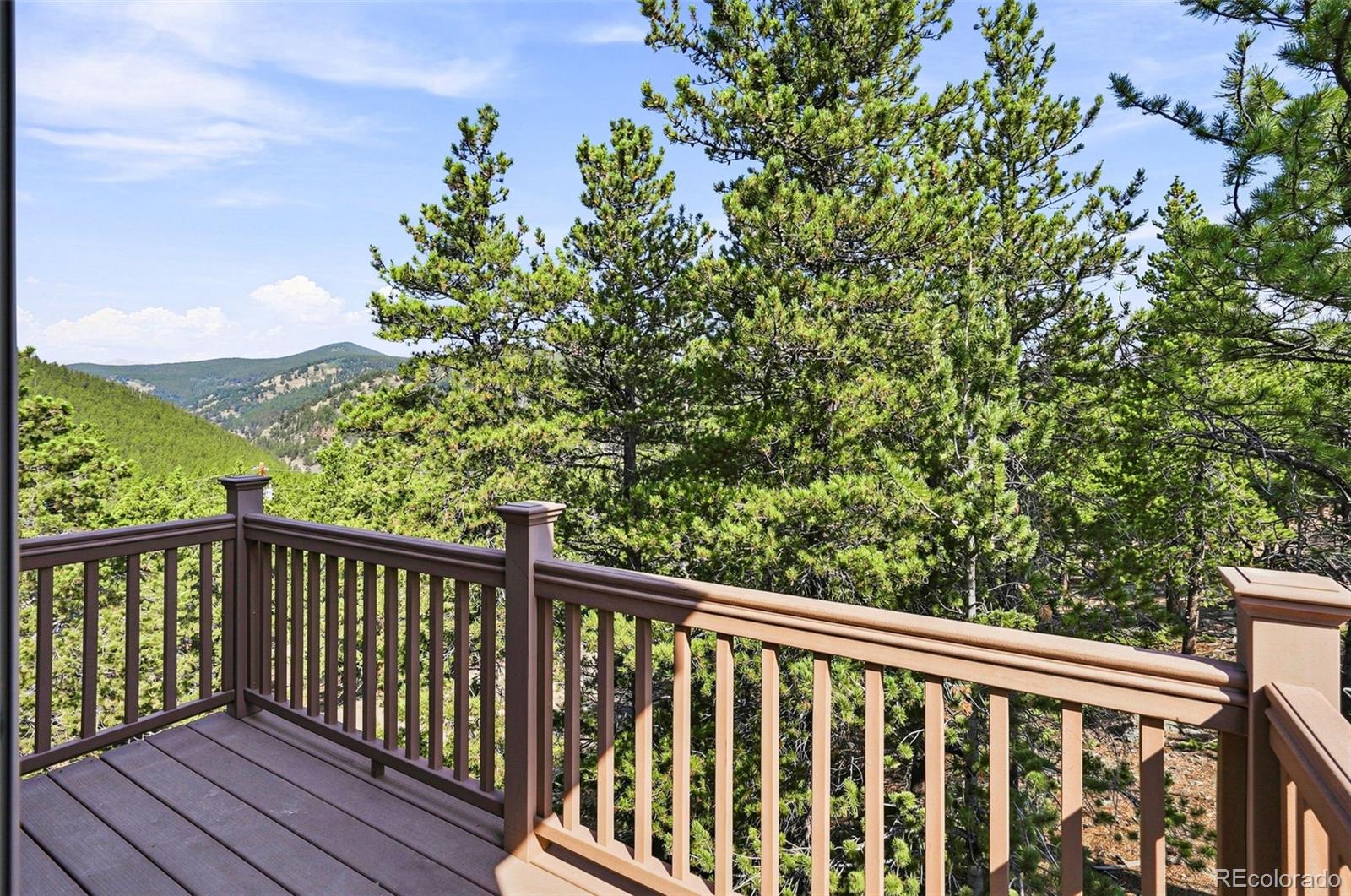 MLS Image #22 for 1301  upper moon gulch road,rollinsville, Colorado