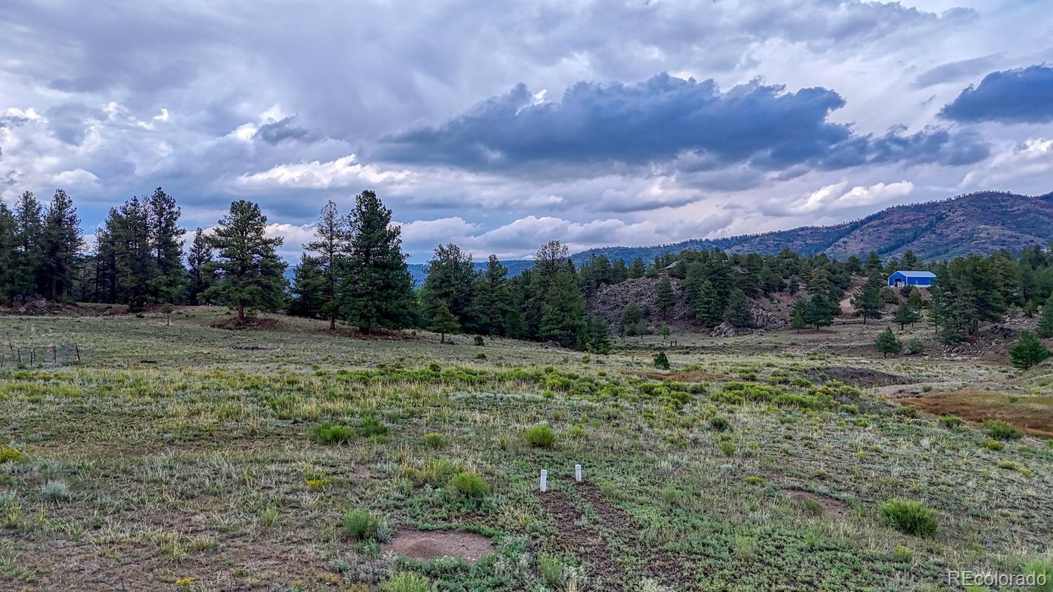 MLS Image #30 for 308  dilley lane,westcliffe, Colorado