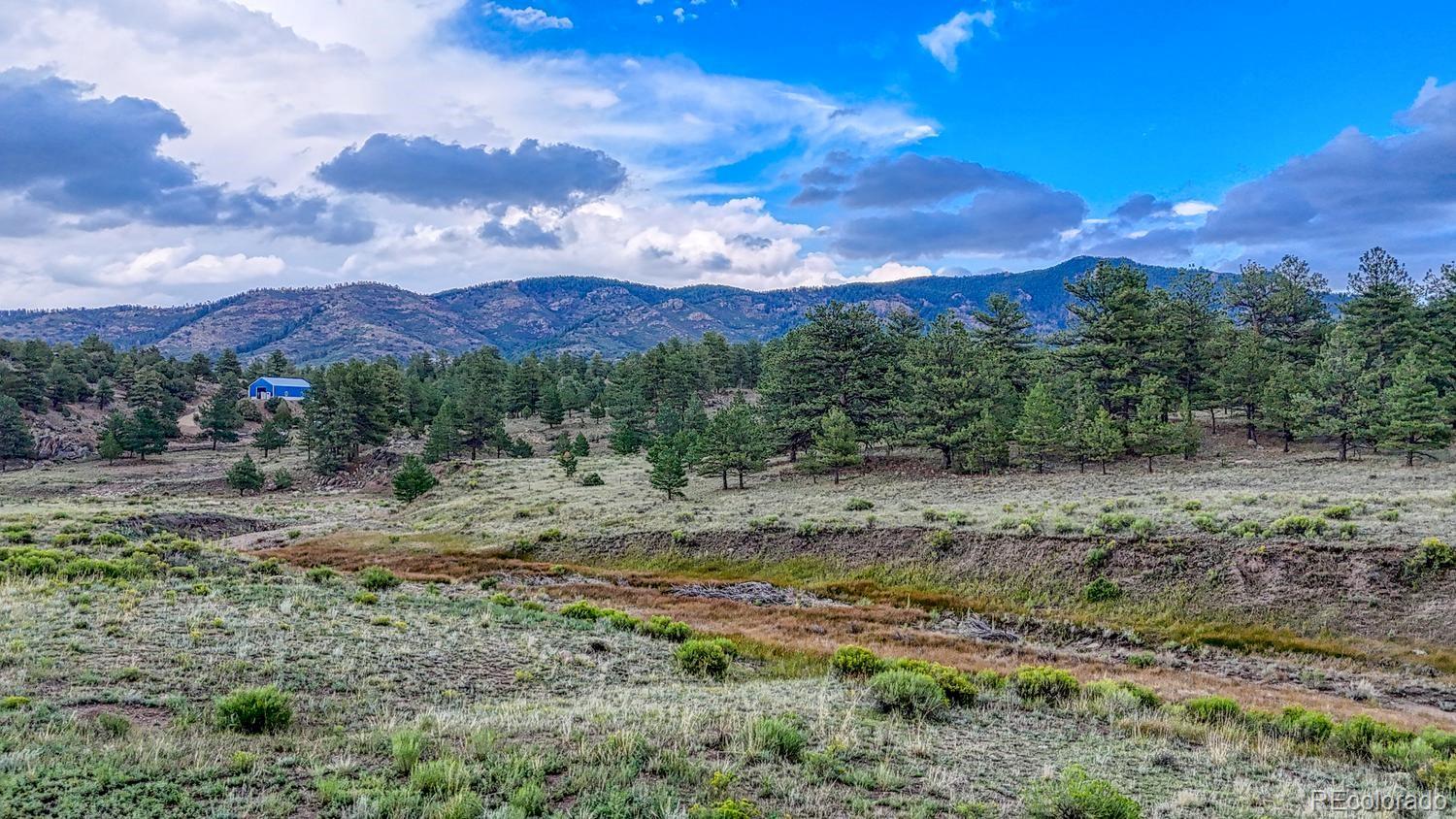 MLS Image #31 for 308  dilley lane,westcliffe, Colorado