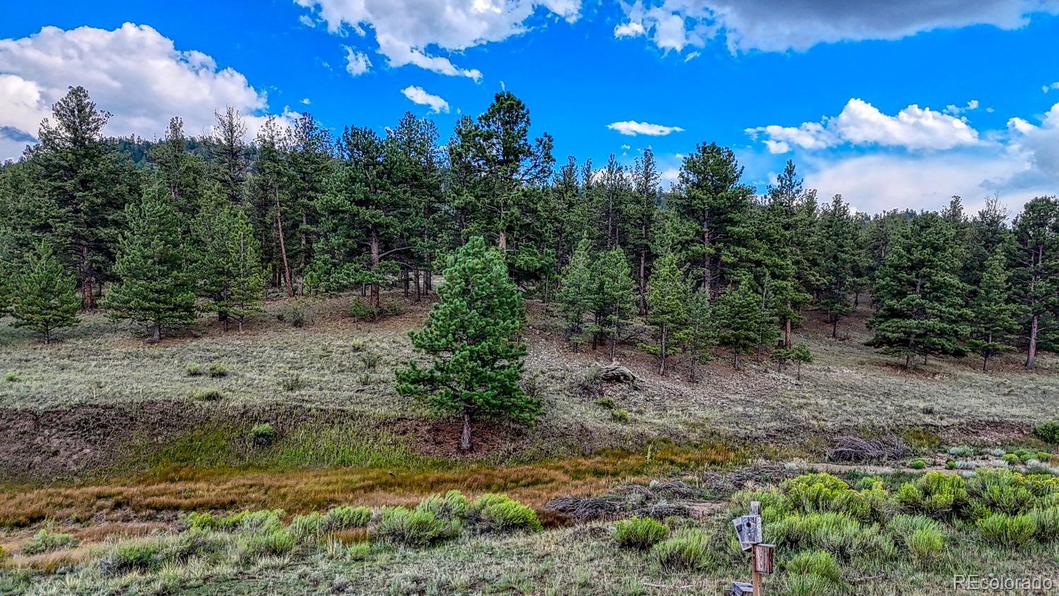 MLS Image #32 for 308  dilley lane,westcliffe, Colorado