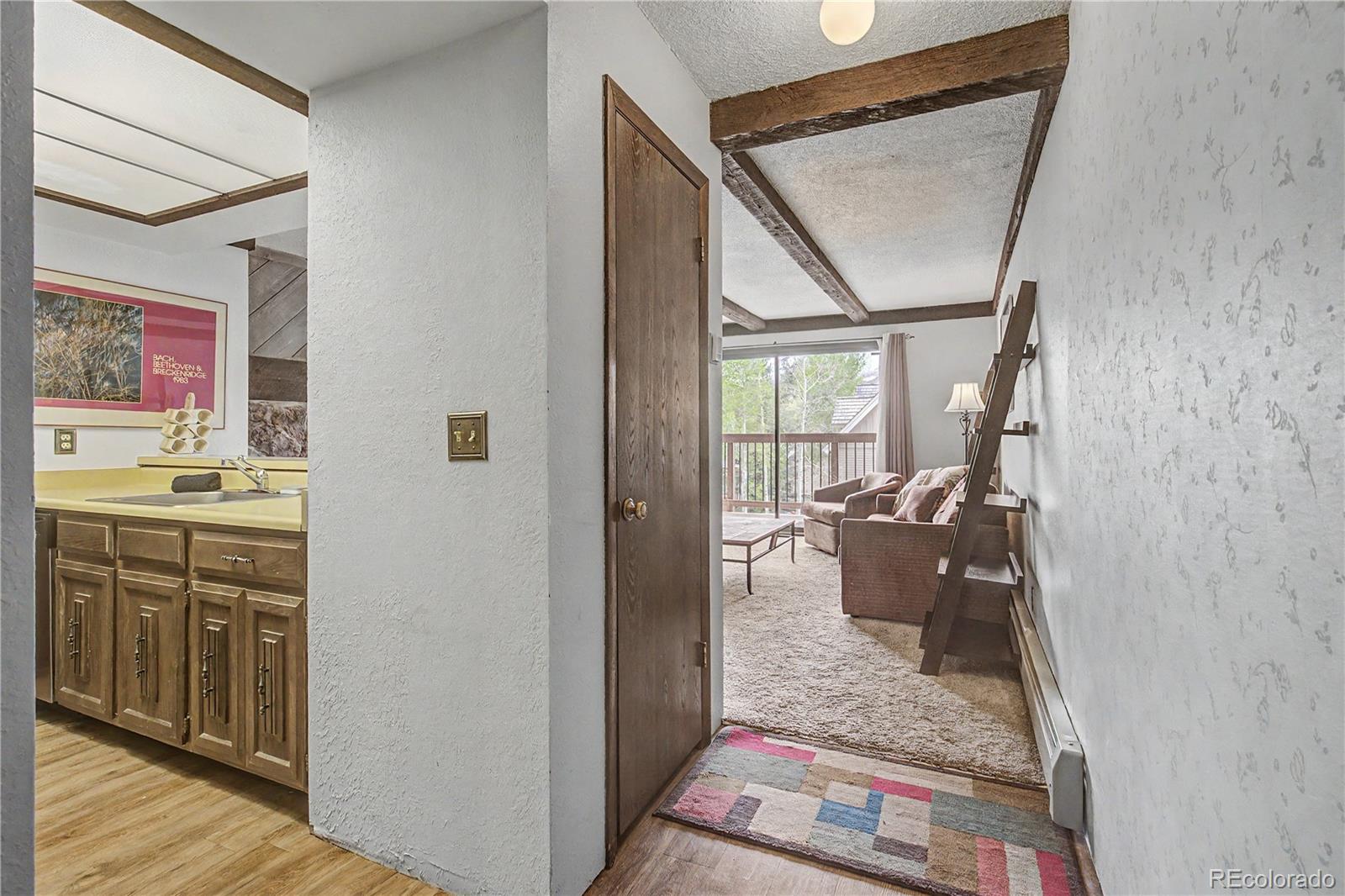 MLS Image #8 for 107  harris street 209,breckenridge, Colorado