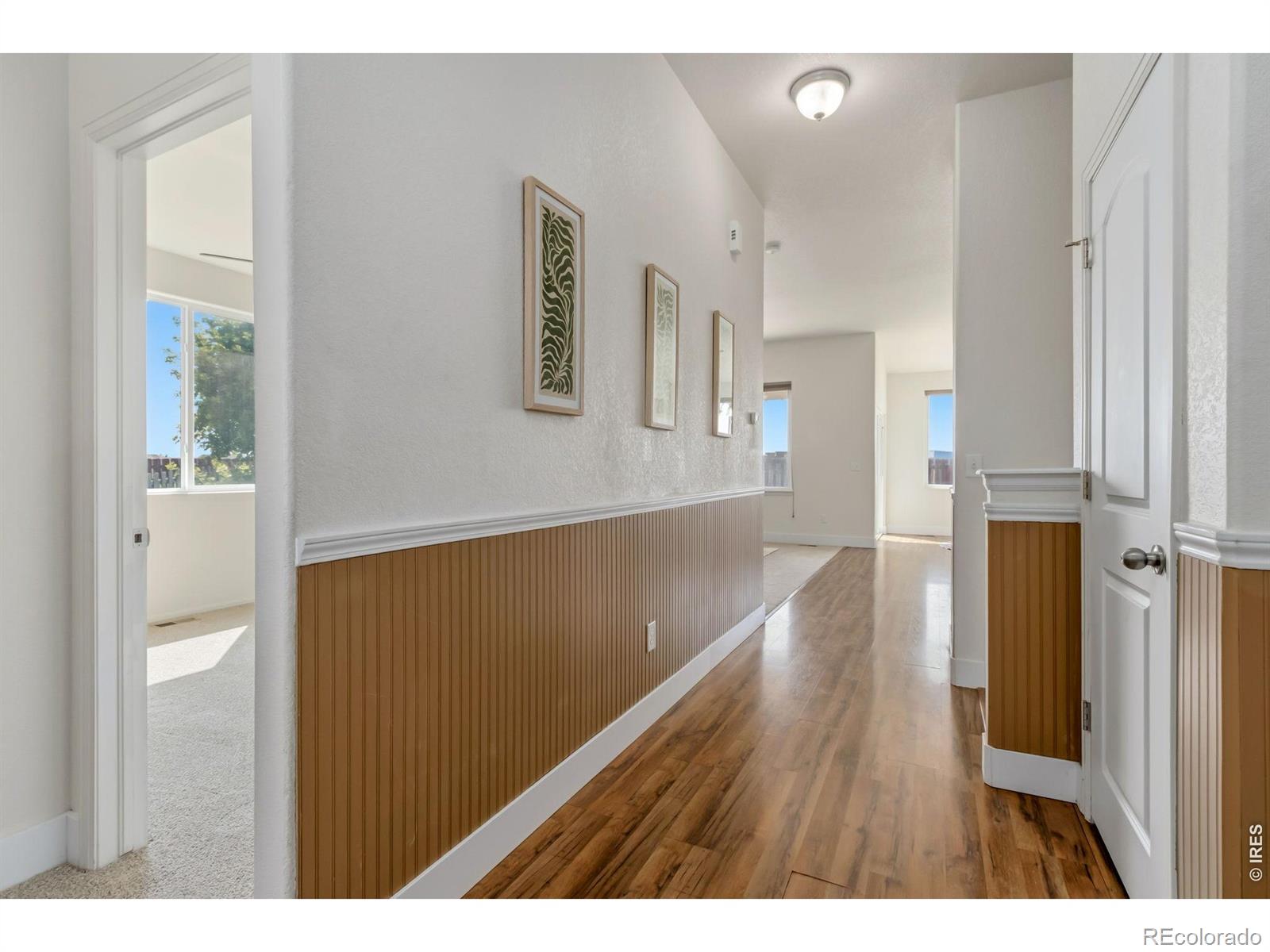 MLS Image #5 for 7397  indigo run street,wellington, Colorado