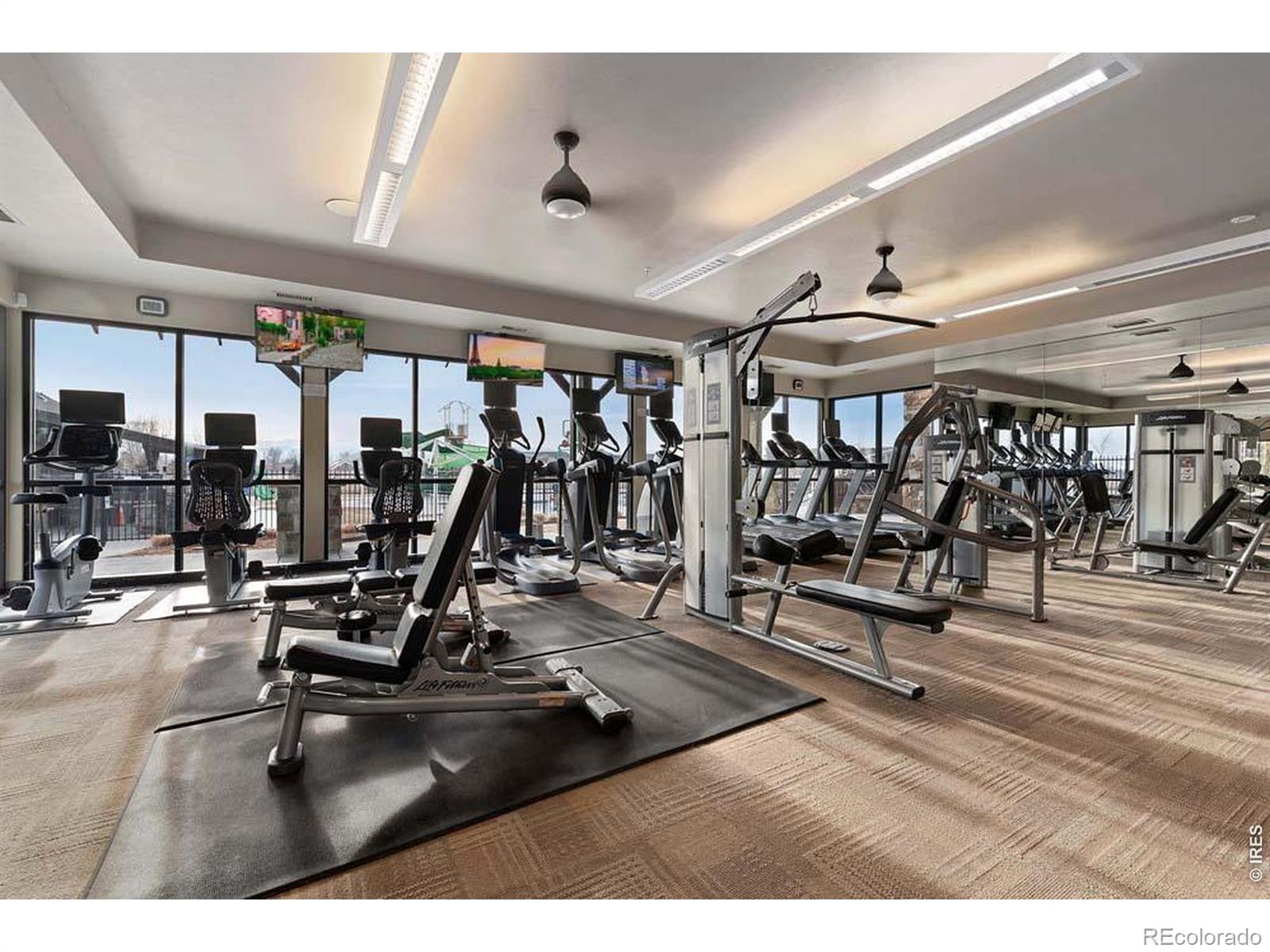 MLS Image #41 for 6805  covenant court,timnath, Colorado