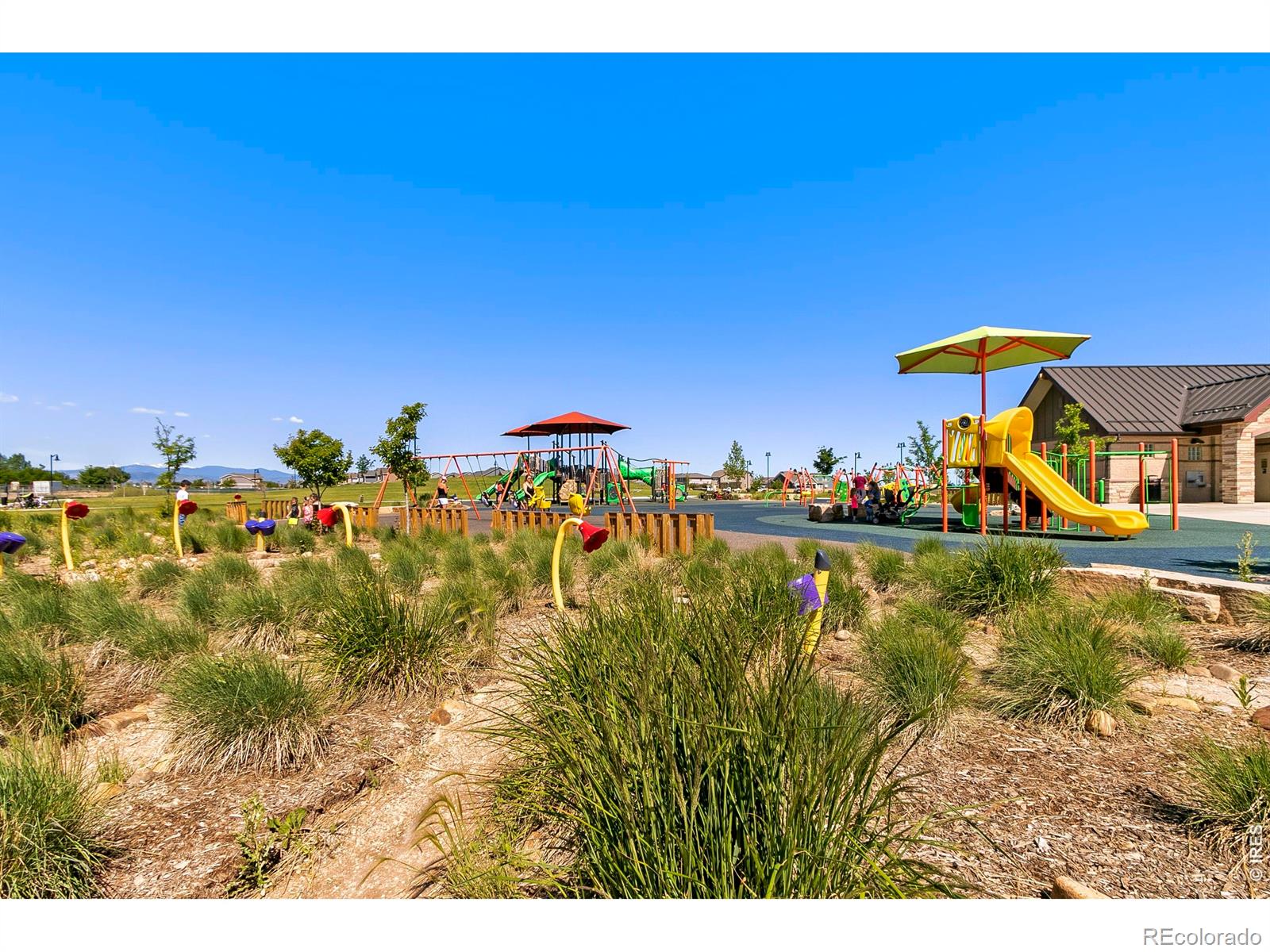 MLS Image #44 for 6805  covenant court,timnath, Colorado