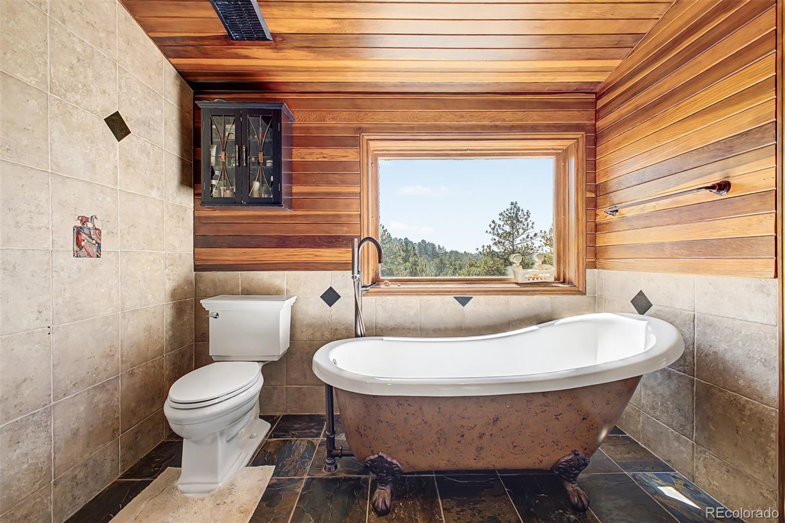MLS Image #13 for 10714  deerfield road,franktown, Colorado