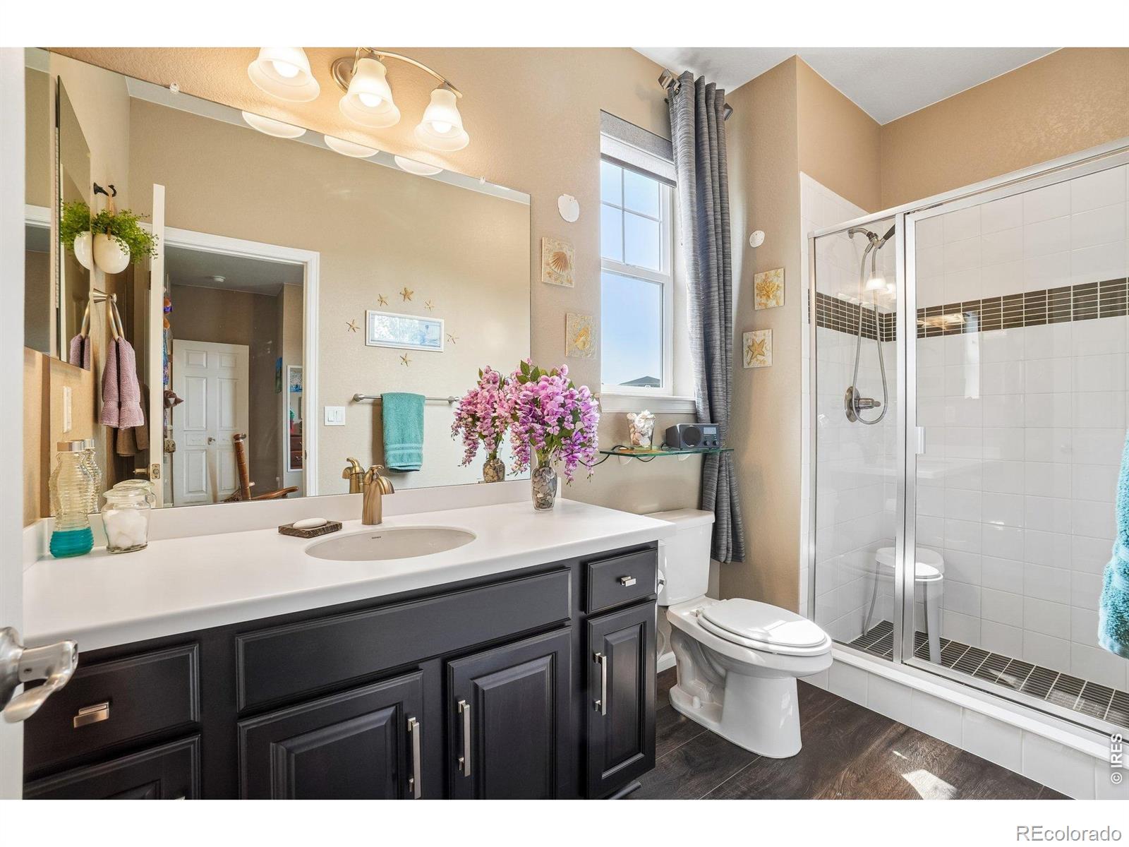 MLS Image #26 for 24  western sky circle,longmont, Colorado