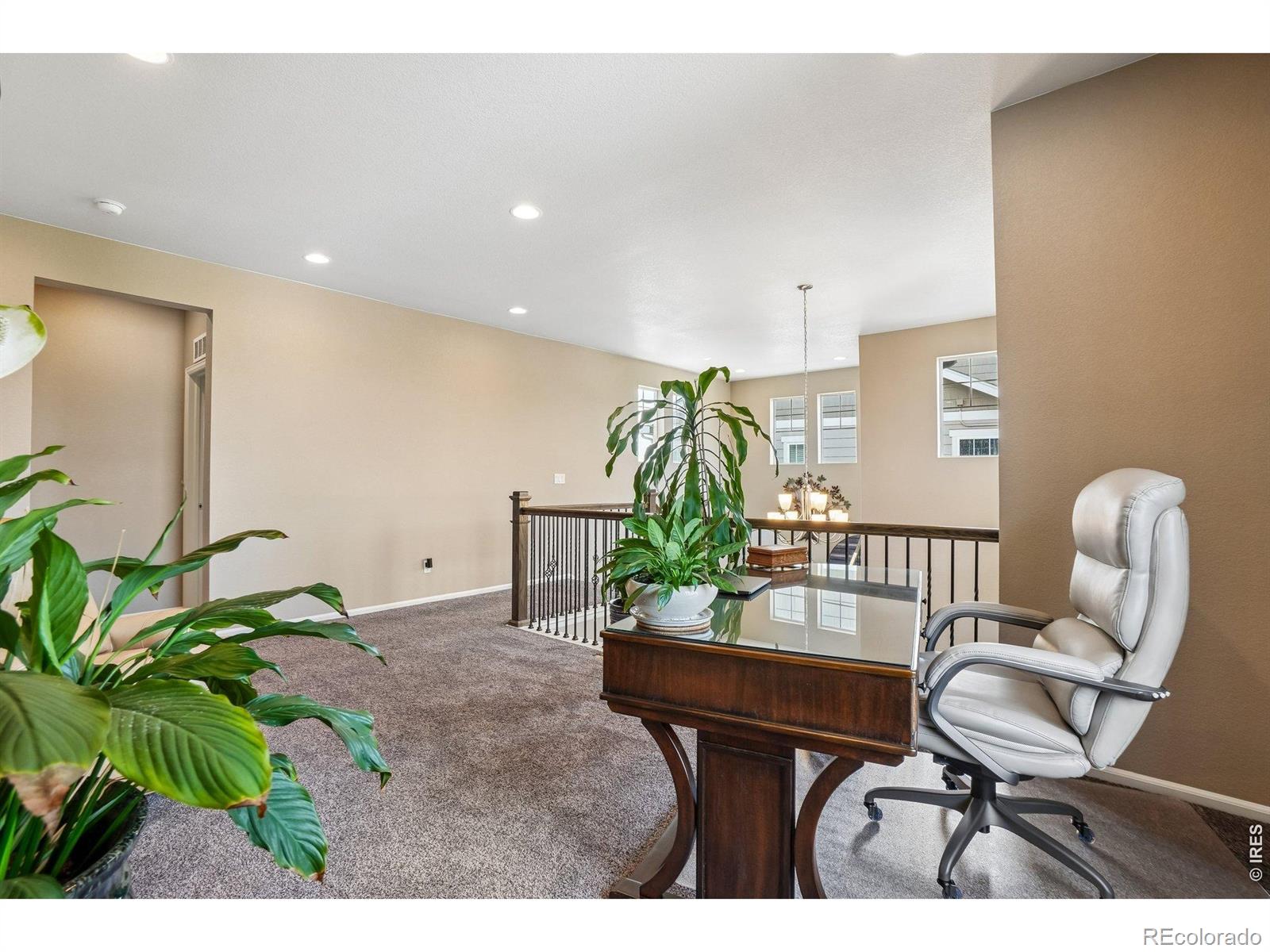 MLS Image #28 for 24  western sky circle,longmont, Colorado