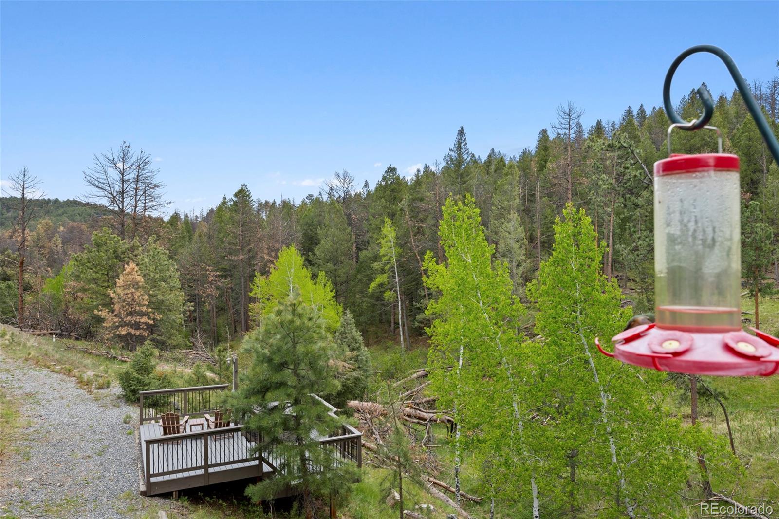 MLS Image #29 for 504  broken arrow road,evergreen, Colorado