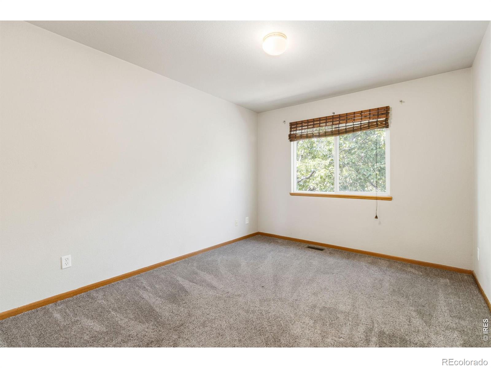 MLS Image #11 for 1637  westbridge drive,fort collins, Colorado